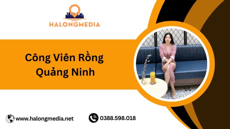 Kinh nghiệm khám phá công viên rồng Quảng Ninh