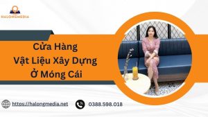 cửa hàng vật liệu xây dựng ở Móng Cái