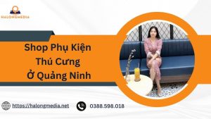 shop phụ kiện thú cưng