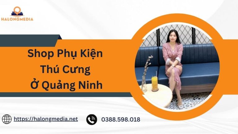 Top 4 shop phụ kiện thú cưng ở Quảng Ninh