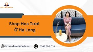 shop hoa tươi ở Hạ Long