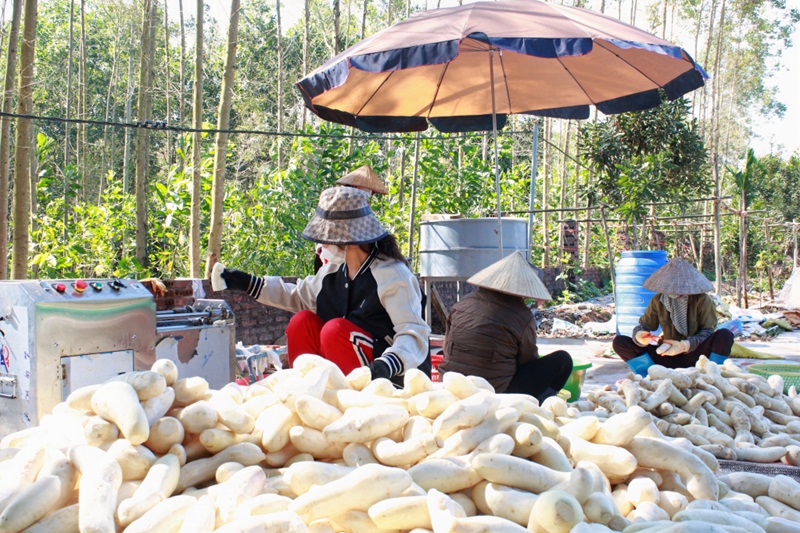 Đầm Hà: Tăng giá trị thương hiệu cho các sản phẩm nông sản 3