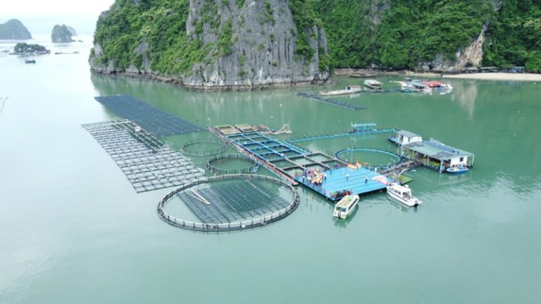 Mục tiêu phát triển bền vững được nỗ lực hoành thành