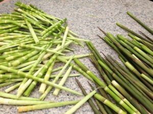 măng trúc Yên Tử