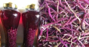 rượu ba kích tím Đầm Hà