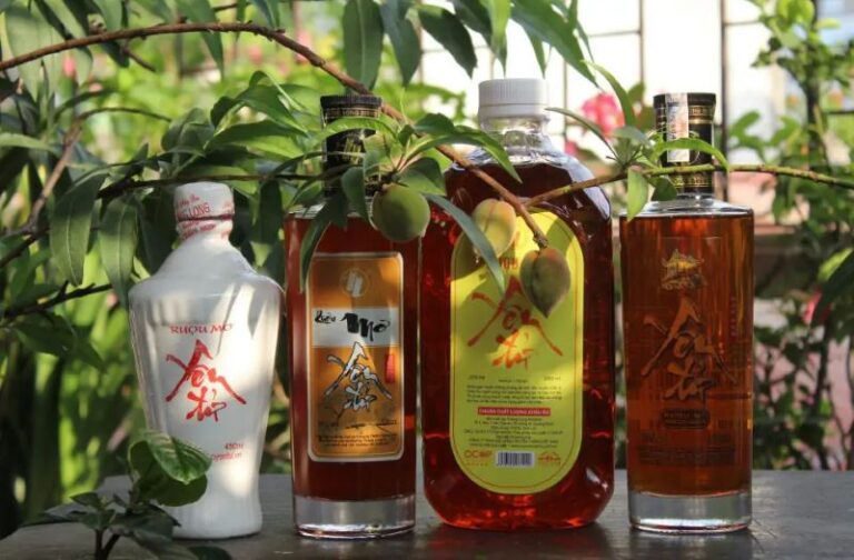 Rượu mơ Yên Tử – nét đẹp văn hóa qua từng chén rượu
