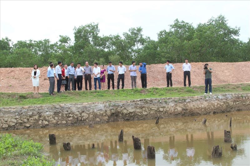 sông bạch đằng