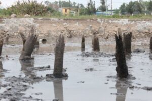 bãi cọc bạch đằng