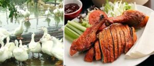 Cà Sáy Tiên Yên Quảng Ninh - đặc sản đậm đà khơi dậy vị giác 10 cà sáy Tiên Yên