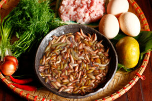 Rươi Đông Triều - Đặc sản tươi ngon, đắt giá của Quảng Ninh 16 rươi Đông Triều