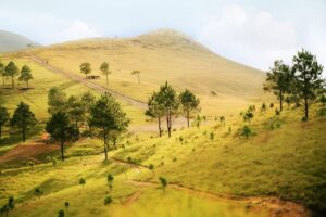 Núi Phượng Hoàng Quảng Ninh: Điểm du lịch hút khách