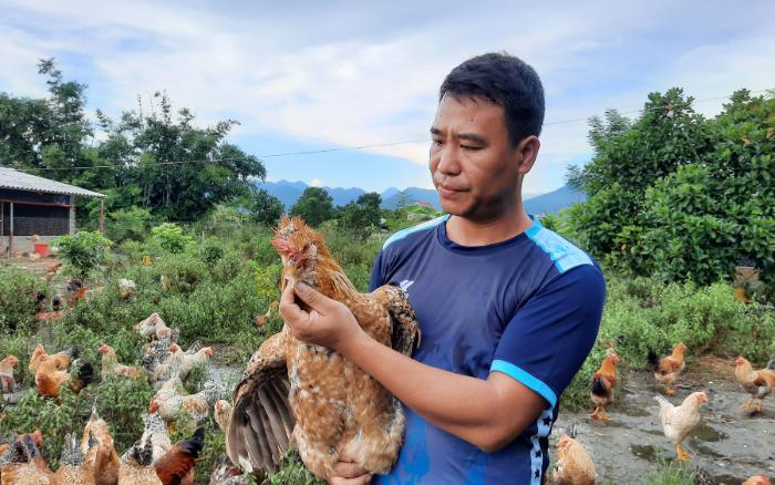 Gà đồi Tiên Yên: Món ăn đặc sản trứ danh tại Quảng Ninh