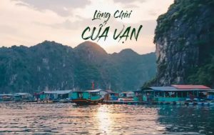 lang chai cua van 0