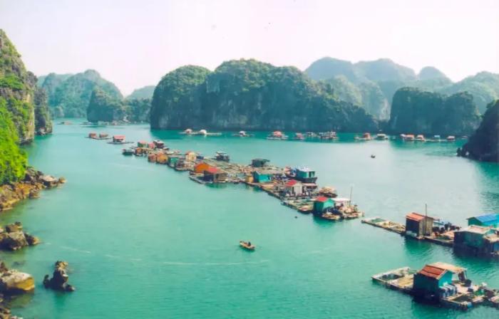 Làng chài Cửa Vạn: Vẻ đẹp hoang sơ và văn hoá ngư dân Hạ Long 6 lang-chai-cuu-van