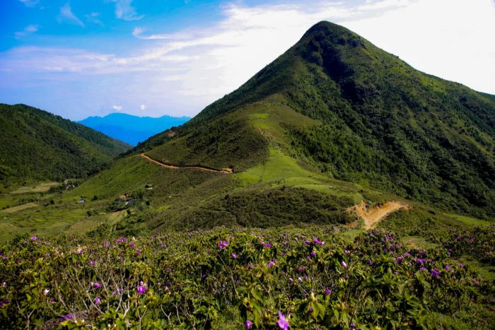 Núi Cao Ly: Chinh phục nóc nhà đại ngàn Bình Liêu