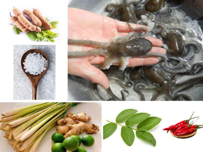 Con ruốc biển: Đặc sản Quảng Ninh nên thử ít nhất 1 lần 4 con ruoc bien 3
