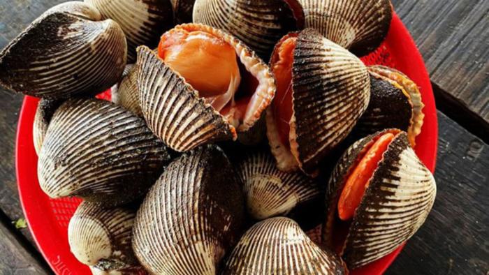 Con sò: Top món ngon bổ dưỡng và cách chế biến hấp dẫn 2 con-so