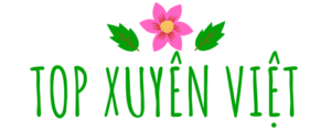 logo topxuyenviet
