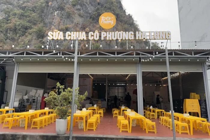 Sữa chua cô Phượng Hạ Long: Hương vị đặc sản