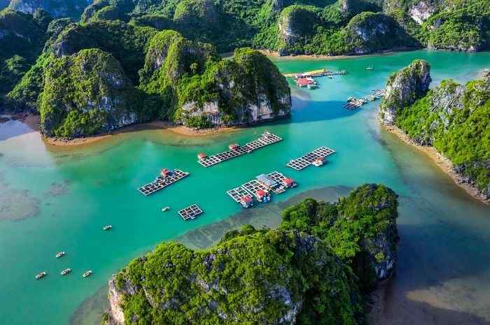 TOP 5 bài thơ về Quảng Ninh đặc sắc, hay nhất 2 Bài thơ “Quảng Ninh quê tôi” miêu tả rõ nét cảnh quan đặc sắc, mỹ miều của Quảng Ninh