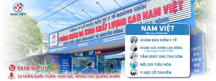 Khoa da liễu Nam Việt 