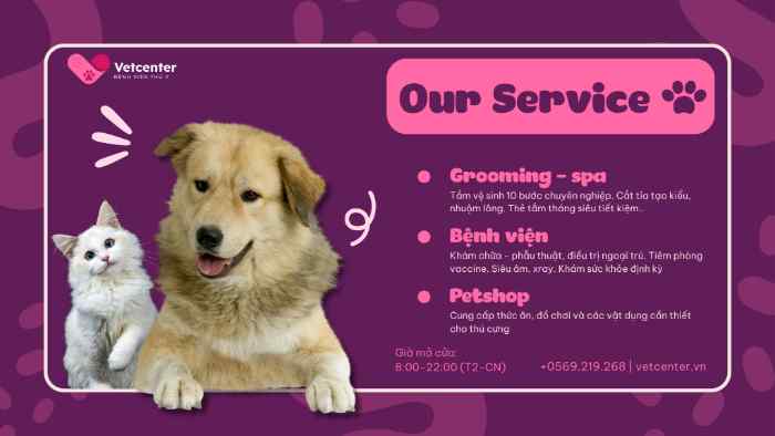 Note ngay 4 phòng thú y ở Quảng Ninh khám - chữa tốt 1 Bệnh Viện Thú Y Vetcenter