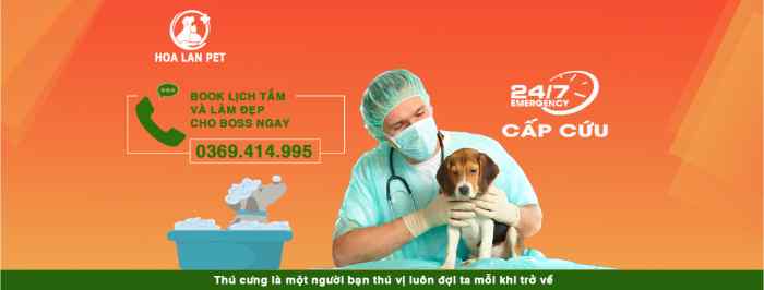 Note ngay 4 phòng thú y ở Quảng Ninh khám - chữa tốt 3 Hoa Lan - phòng thú y ở Quảng Ninh