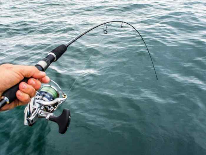 đồ câu cá ở Quảng Nin