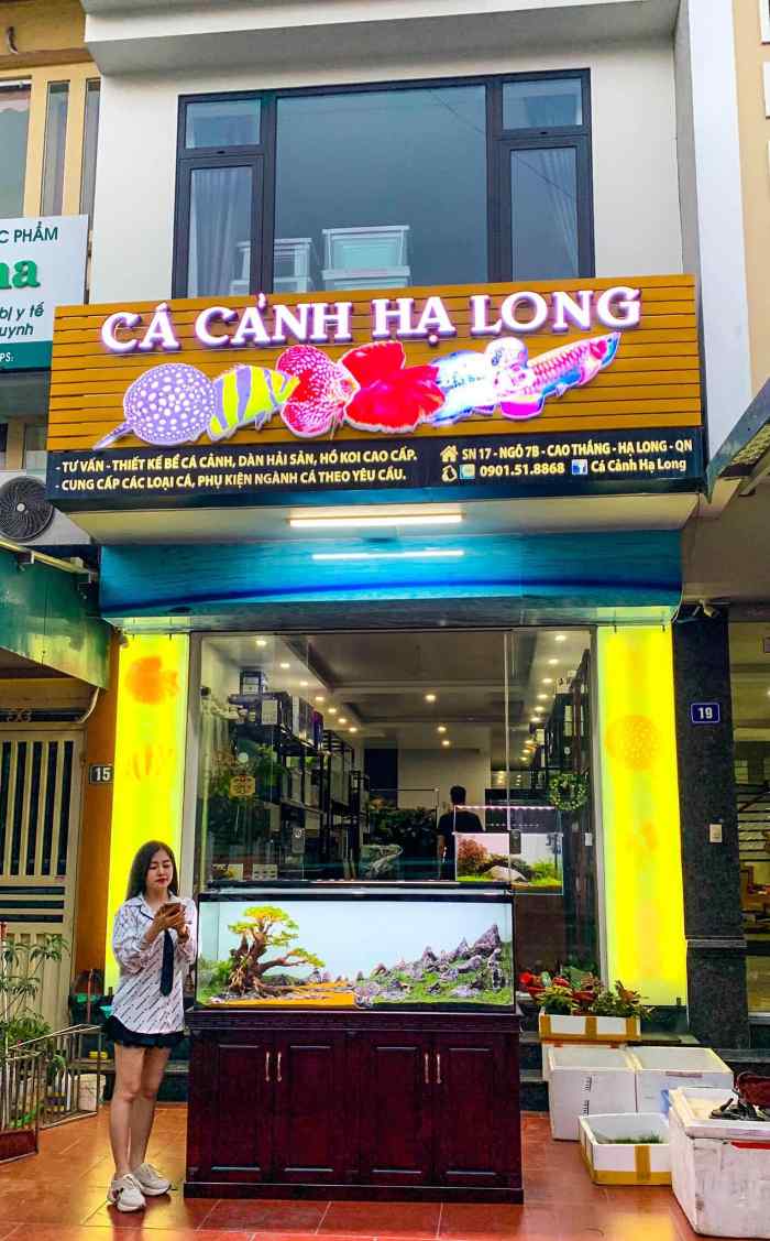 Cá Cảnh Hạ Long