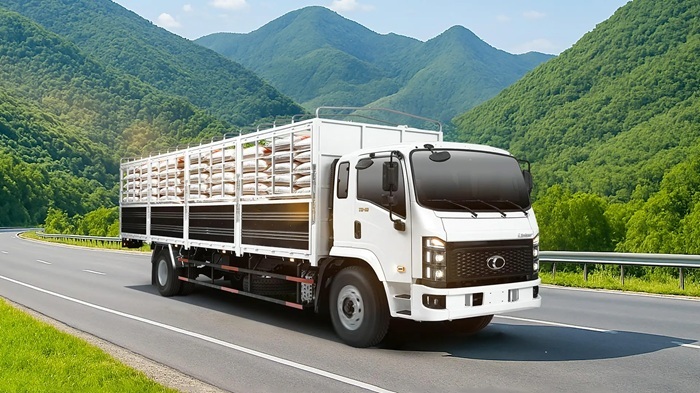 Chành Xe Long An Đi Quảng Ninh: Giá Cước & Lịch Trình 1 Giải pháp Chành xe Long An đi Quảng Ninh