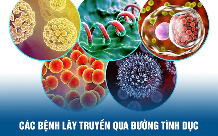 chữa bệnh xã hội ở Quảng Ninh