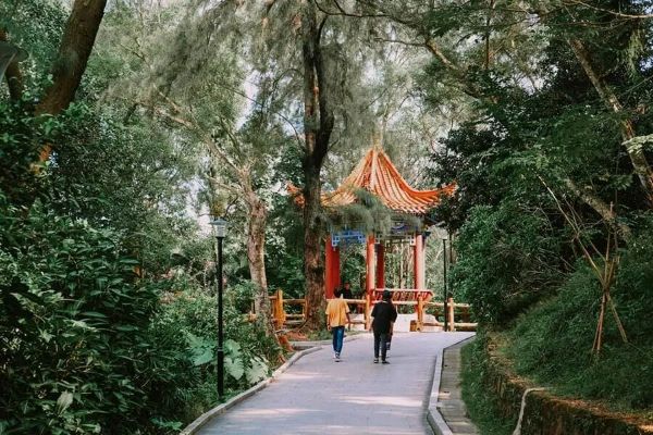 Tour Đông Hưng